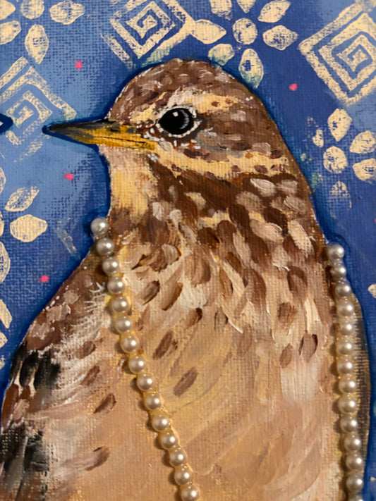 Persistent American Pipit