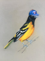 Baltimore Oriole in a Baseball Cap (not his own)