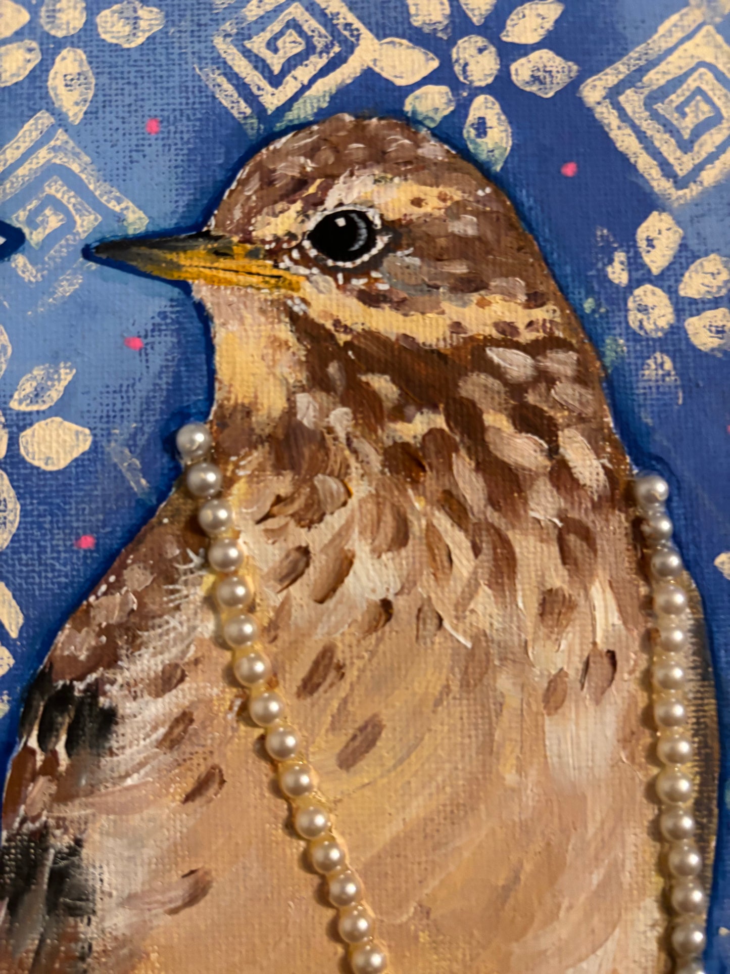 Persistent American Pipit