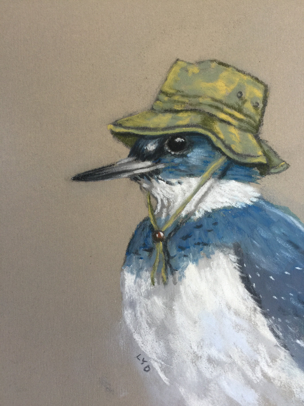 Belted Kingfisher in a Fishing Hat