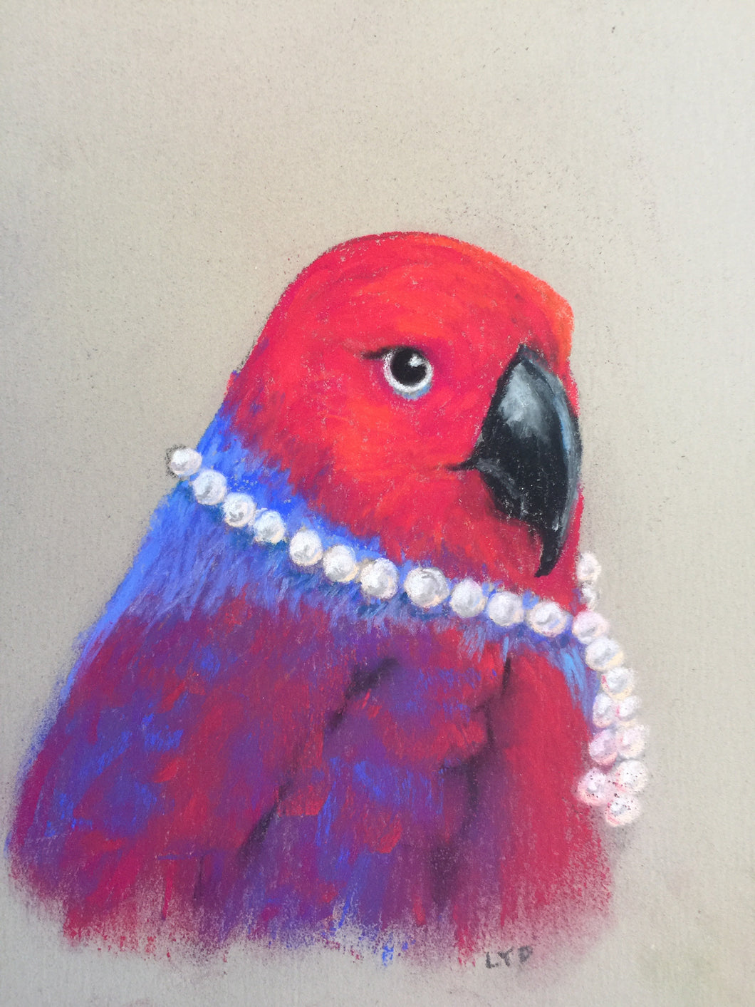 Eclectus in Pearls